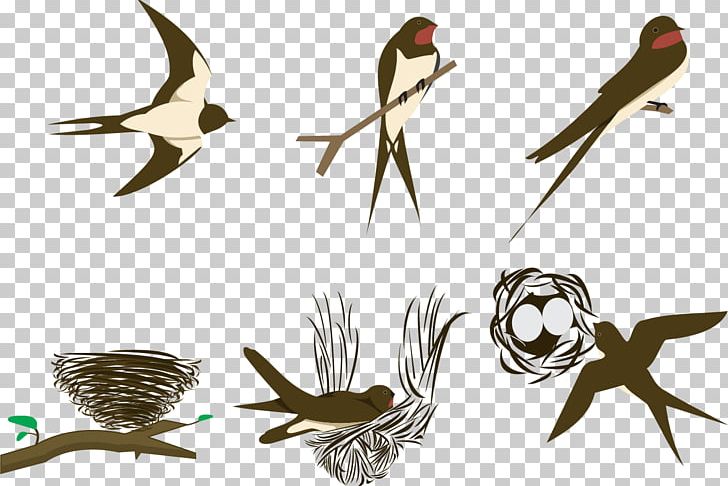 Swallow Bird Euclidean PNG, Clipart, Adobe Illustrator, Animals, Beak, Bird, Bird Nest Free PNG Download