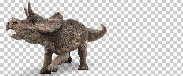 Baby Triceratops Tyrannosaurus Apatosaurus Velociraptor PNG, Clipart, Animal Figure, Animatronics, Baby, Baby Triceratops, Bryce Dallas Howard Free PNG Download