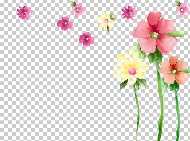 Primrose Moth Orchids Spring Petal Malvales PNG, Clipart, Annual Plant, Blossom, Decorative, Decorative Designs, Designs Free PNG Download