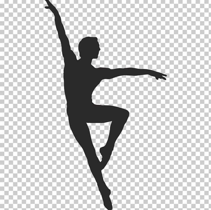 Ballet Dancer Pole Dance Silhouette PNG, Clipart, Animals, Arm, Art, Ballet, Ballet Dancer Free PNG Download