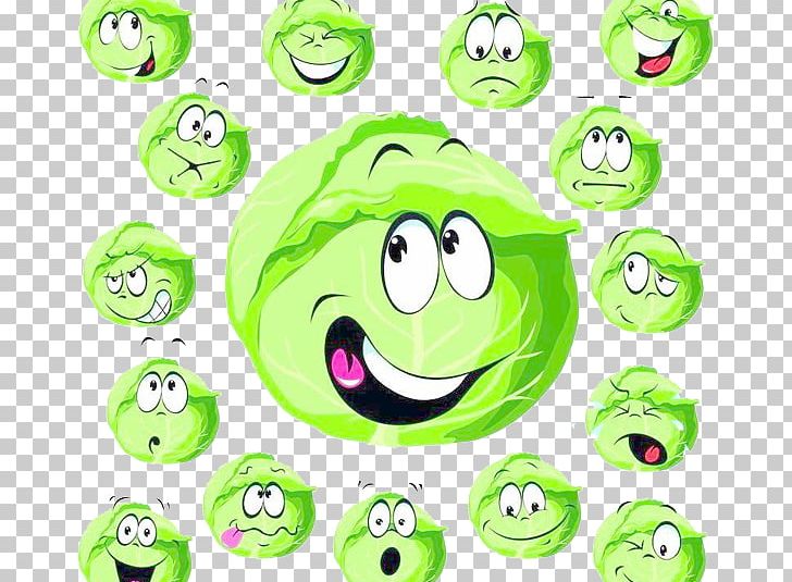 Cabbage Cartoon Vegetable PNG, Clipart, Brassica Oleracea, Circle, Clip Art, Comics, Cute Animal Free PNG Download