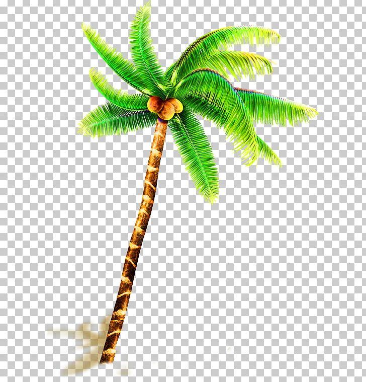 Coconut Water Coconut Milk Tree PNG, Clipart, Arecaceae, Arecales, Autocad Dxf, Coconut Tree, Decorative Free PNG Download