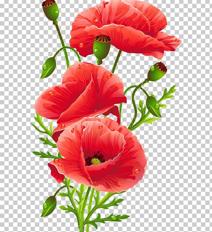 Flower Bouquet Common Poppy Floristry PNG, Clipart, Annual Plant, Artificial Flower, Beautiful, Coquelicot, Encapsulated Postscript Free PNG Download