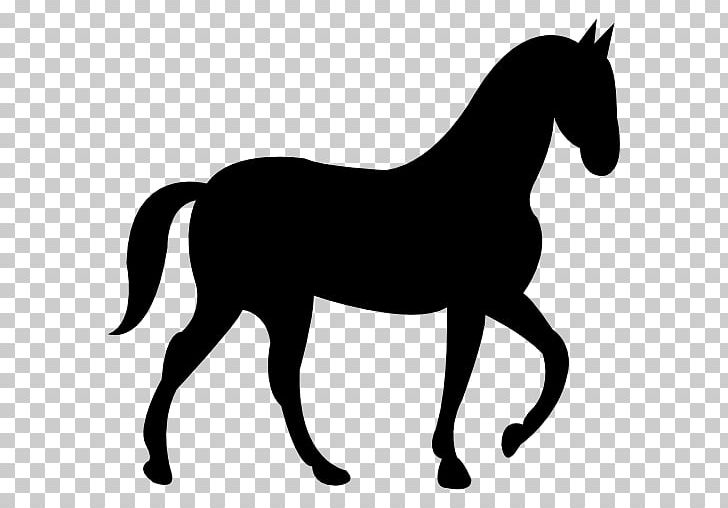 Riding Pony Silhouette PNG, Clipart, Animals, Black, Collection, Colt, Computer Icons Free PNG Download