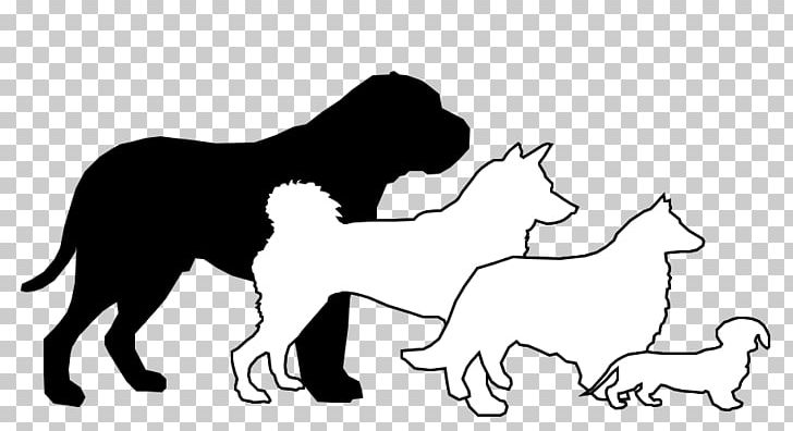 Whiskers Puppy Cat Dog Breed PNG, Clipart, Animals, Black, Black And White, Carnivoran, Cat Like Mammal Free PNG Download
