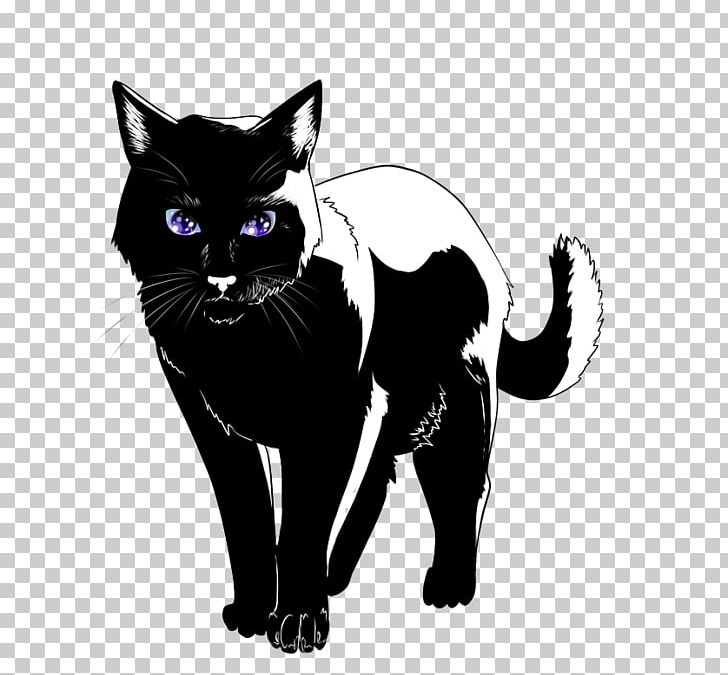 Black Cat Kitten Domestic Short-haired Cat Whiskers PNG, Clipart, Anime Cat, Art, Azumanga Daioh, Black, Black And White Free PNG Download