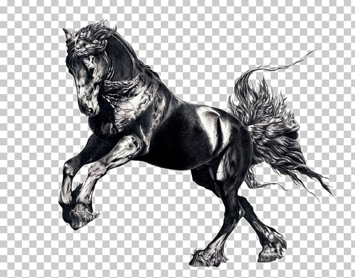 Friesian Horse Arabian Horse Drawing Painting Stallion PNG, Clipart, Arabian Horse, Art, Black, Black And White, Drawing Free PNG Download