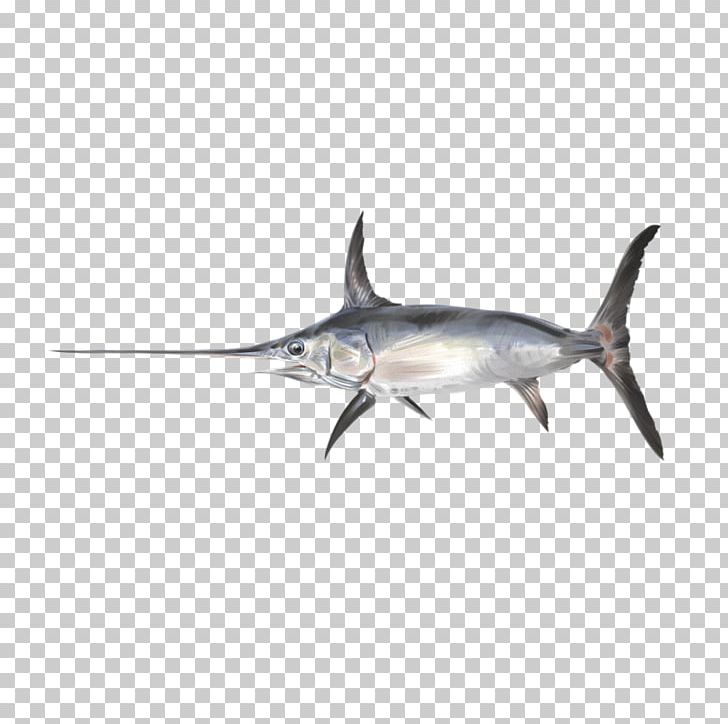 Swordfish Photography Shark Sailfish PNG, Clipart, Billfish, Bony Fish, Cartilaginous Fish, Desktop Wallpaper, Fauna Free PNG Download