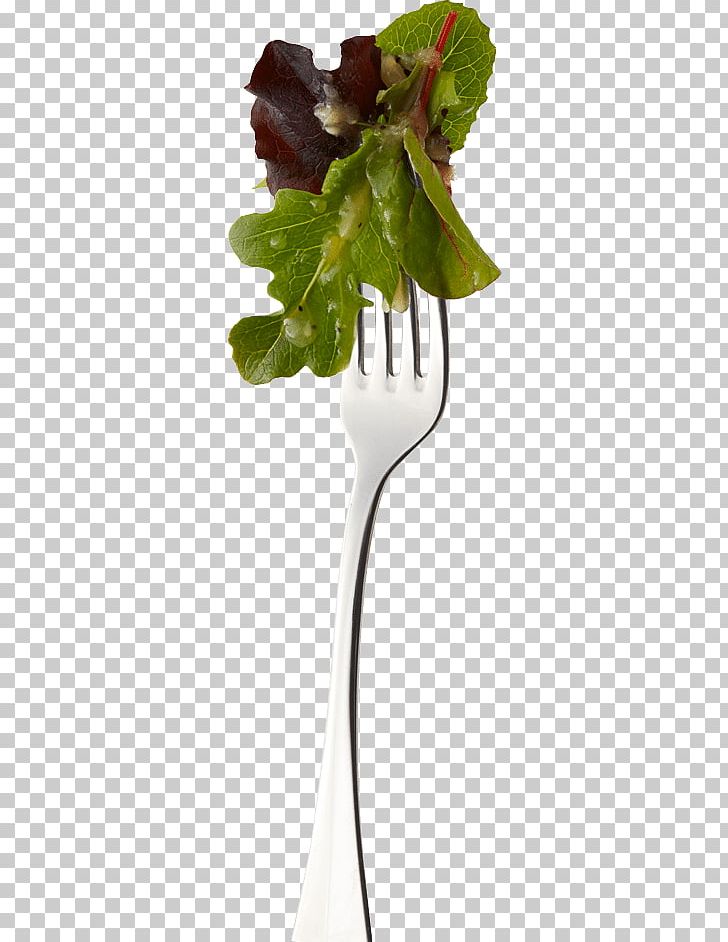 Vinaigrette Leaf Agave Nectar Salad Dressing PNG, Clipart, Agave, Agave Nectar, Black Raspberry, Cucumber, Cutlery Free PNG Download