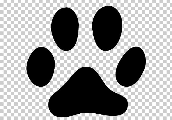 Black Cat Kitten Computer Icons Dog PNG, Clipart, Animal, Animals, Animal Track, Black, Black And White Free PNG Download