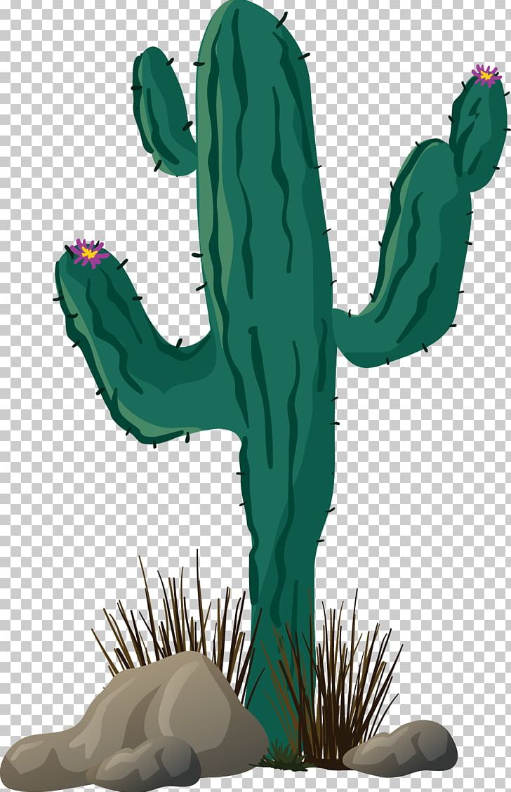 Cactaceae Cactos/Cactus Thorns PNG, Clipart, Adobe Illustrator, Cactus Vector, Cartoon, Cartoon Character, Cartoon Eyes Free PNG Download