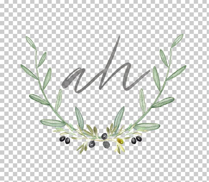 Fine-art Photography Initials SG Twig PNG, Clipart, Art, Blog, Branch, Film, Fineart Photography Free PNG Download