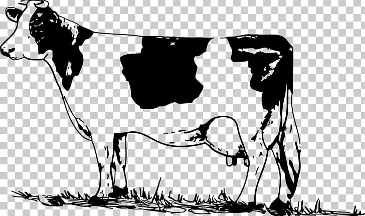 Holstein Friesian Cattle Welsh Black Cattle White Park Cattle Jersey Cattle PNG, Clipart, Arm, Bee, Black, Black And White, Camel Like Mammal Free PNG Download
