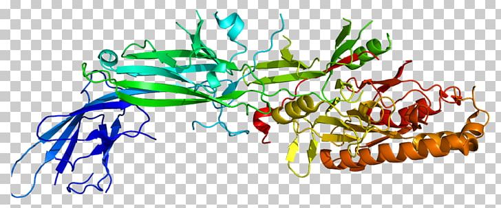 PADI4 Anti–citrullinated Protein Antibody Histone Gene PNG, Clipart, Antibody, Art, Artwork, Biology, Branch Free PNG Download