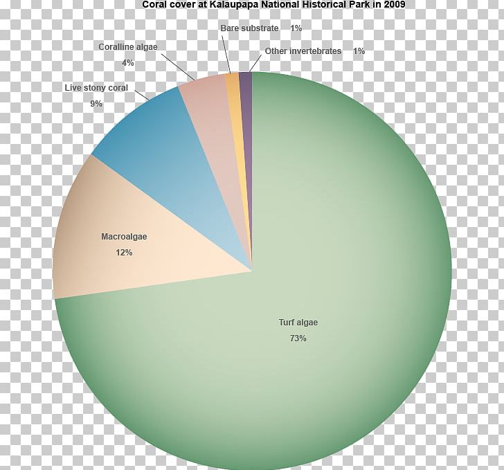 Coral Reef Great Barrier Reef Coral Bleaching Pie Chart PNG, Clipart, Algae, Angle, Brand, Chart, Circle Free PNG Download
