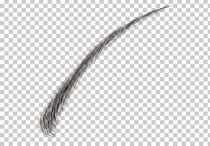 Feather Tail Eyebrow PNG, Clipart, Animals, Black And White, Eyebrow, Eyelashes, Feather Free PNG Download