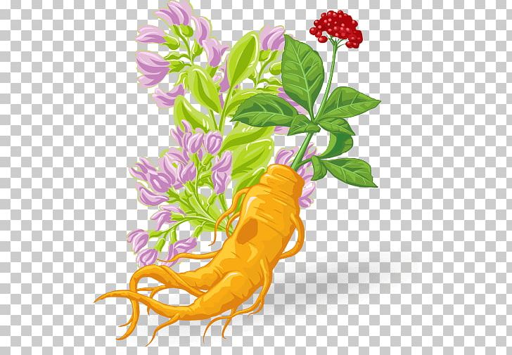 Mr. Olympia Muscle Universe Championships Herb Bodybuilding PNG, Clipart, Astragalus, Bacteria, Compound, Digestion, Enzyme Free PNG Download