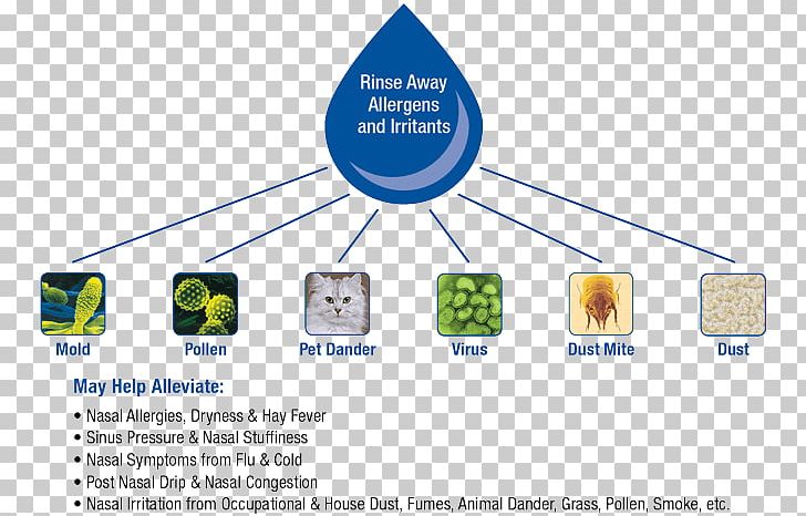 Nasal Irrigation Saline Nose Sinus Infection Nasal Cavity PNG, Clipart, Allergy, Area, Communication, Diagram, Elephantidae Free PNG Download