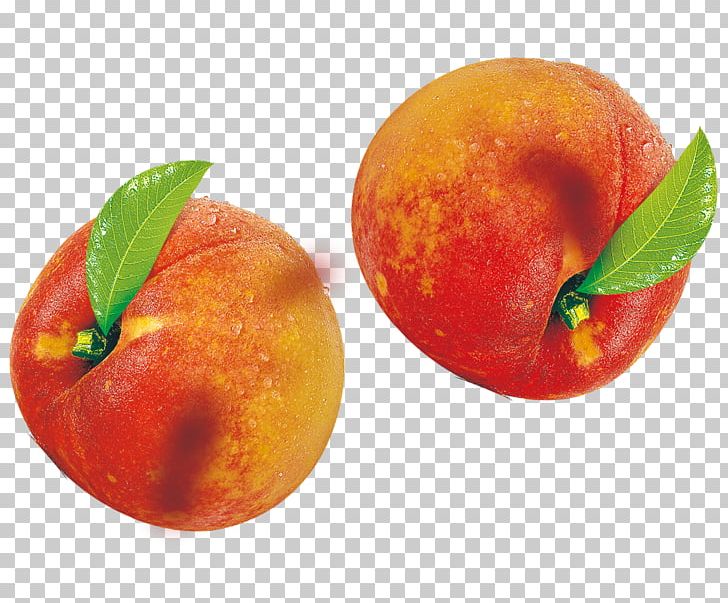 Peach Blood Orange Fruit PNG, Clipart, Citrus, Download, Encapsulated Postscript, Euclidean Vector, Food Free PNG Download