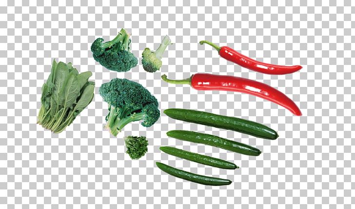 Capsicum Annuum Vegetable Chili Pepper Vegetarian Cuisine PNG, Clipart, Agriculture, Broccoli, Capsicum, Chili Pepper, Farm Free PNG Download