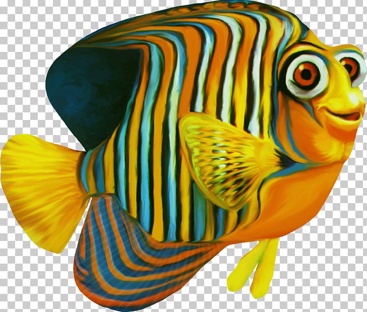 Clownfish Nemo PNG, Clipart, Animals, Aquarienpflanze, Cabomba, Clownfish, Coral Reef Fish Free PNG Download