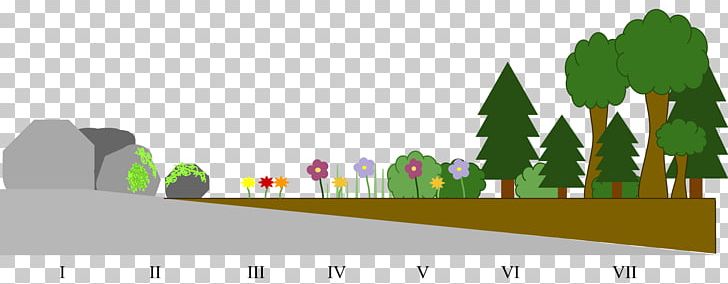 Primary Succession Secondary Succession Ecological Succession Ecology Soil PNG, Clipart, Biology, Brand, Diagram, Disturbance, Ecological Succession Free PNG Download