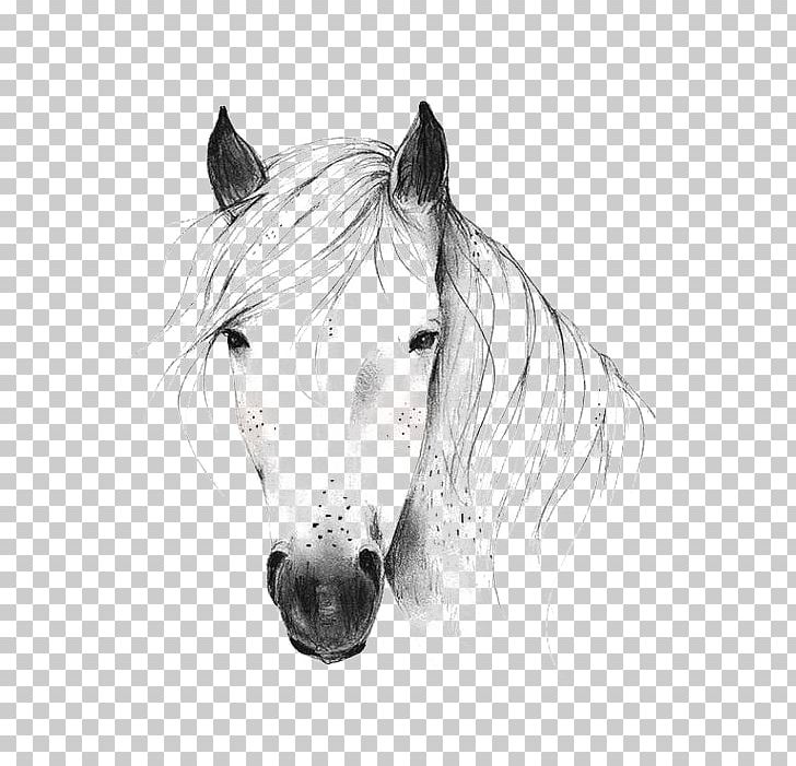 Wild Horse Drawing Illustration PNG, Clipart, Animal, Animals, Art, Black And White, Bridle Free PNG Download
