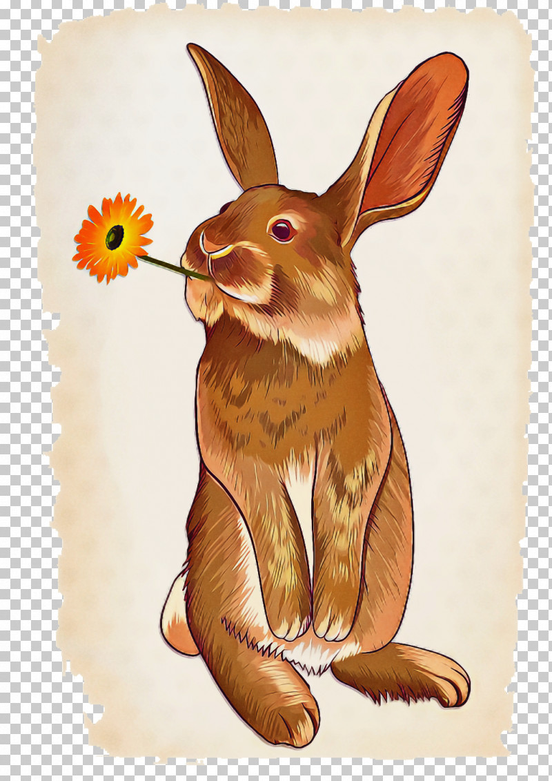 Hare Drawing Line Art Cartoon Rabbit PNG, Clipart, Cartoon, Drawing, Hare, Line Art, Rabbit Free PNG Download