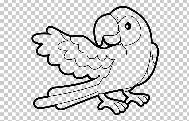 Coloring Book Drawing True Parrot Child PNG, Clipart, Animal, Arb, Bird, Black, Cartoon Free PNG Download