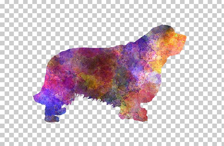 Dog Breed Clumber Spaniel Bear Snout PNG, Clipart, Bear, Breed, Carnivoran, Ceramic, Clumber Spaniel Free PNG Download