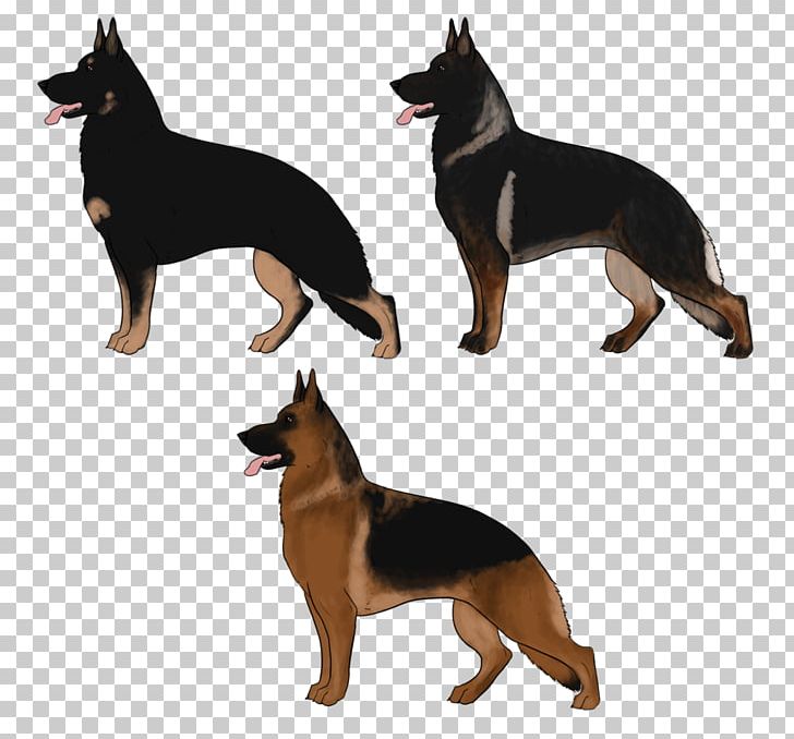 Ormskirk Terrier German Shepherd Australian Kelpie Kunming Wolfdog Australian Cattle Dog PNG, Clipart, Australian Cattle Dog, Carnivoran, Dog Breed, Dog Breed Group, Dog Like Mammal Free PNG Download