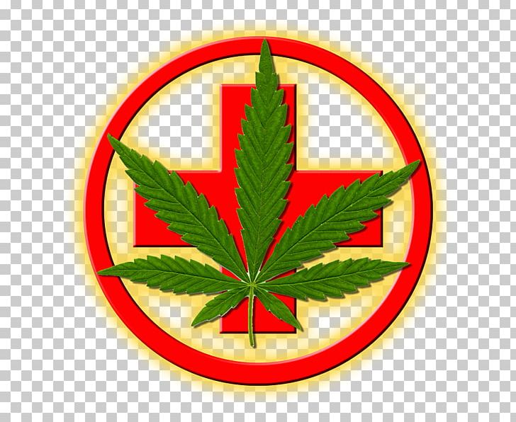 Medical Cannabis Nimbin MardiGrass 2018 Medicine PNG, Clipart, Cannabis, Cannabis Sativa, Embassy, Hashish, Health Care Free PNG Download