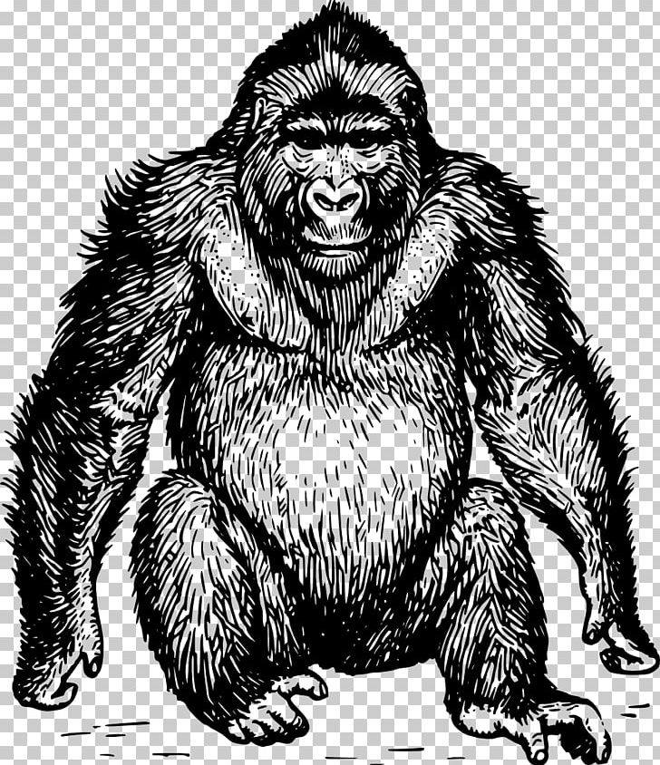 Ape Gorilla Orangutan Chimpanzee Drawing PNG, Clipart, Animals, Ape, Art, Bear, Black And White Free PNG Download
