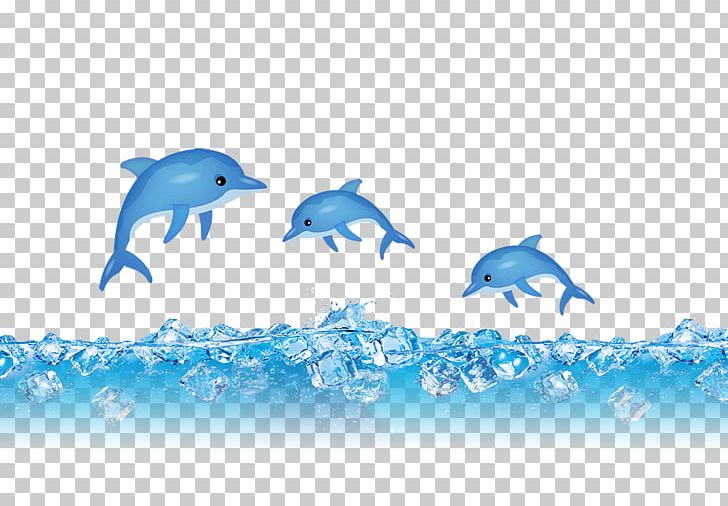 Common Bottlenose Dolphin Jumping PNG, Clipart, Animals, Blue, Computer Wallpaper, Cute Dolphin, Dolphin Free PNG Download