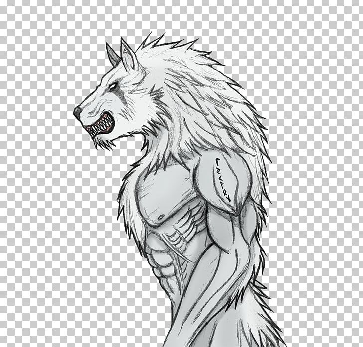 Gray Wolf Werewolf Lycaon Drawing Sketch PNG, Clipart, Artwork, Big Cats, Black And White, Carnivoran, Cat Like Mammal Free PNG Download