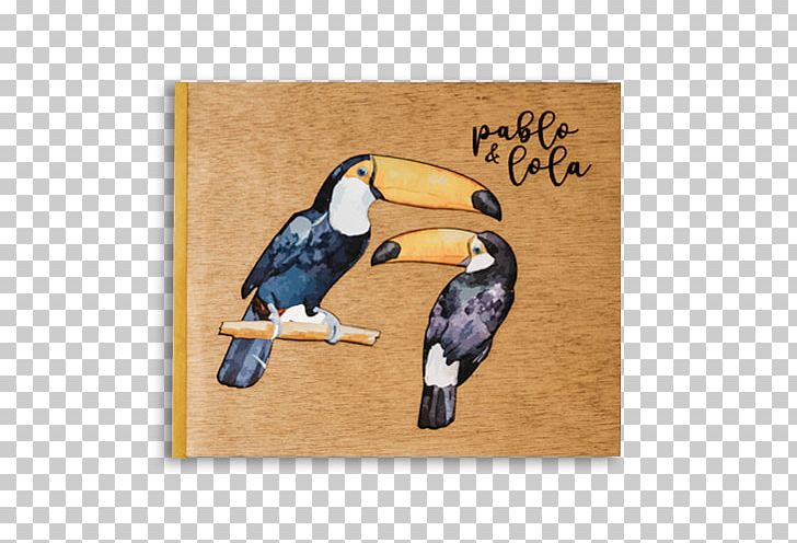 Photography Album Photocall Photo Booth PNG, Clipart, Album, Beak, Beatles, Bird, Fauna Free PNG Download