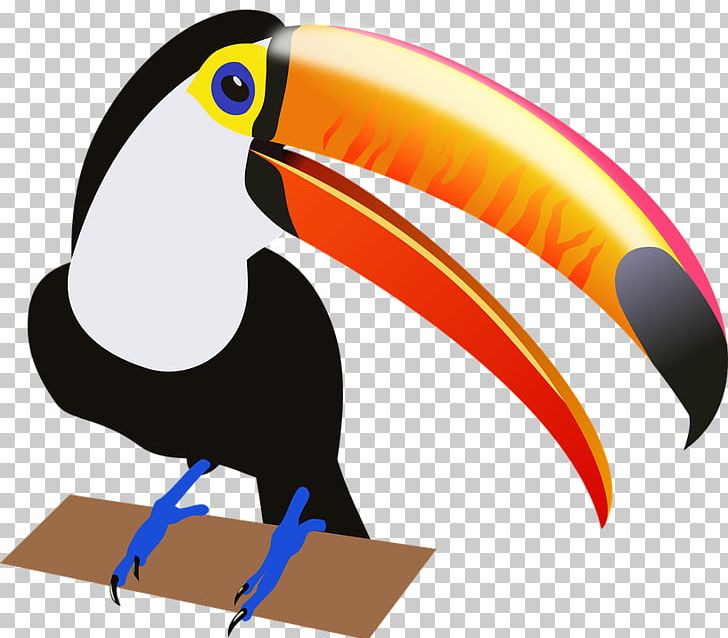 Toucan Bird PNG, Clipart, Animal, Artwork, Aviary, Beak, Bird Free PNG Download
