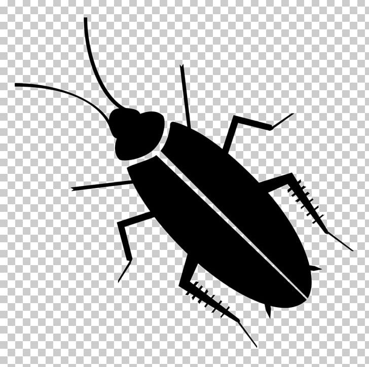 Cockroach Mosquito Pest Control Roach Bait PNG, Clipart, American Cockroach, Animals, Arthropod, Artwork, Bed Bug Free PNG Download