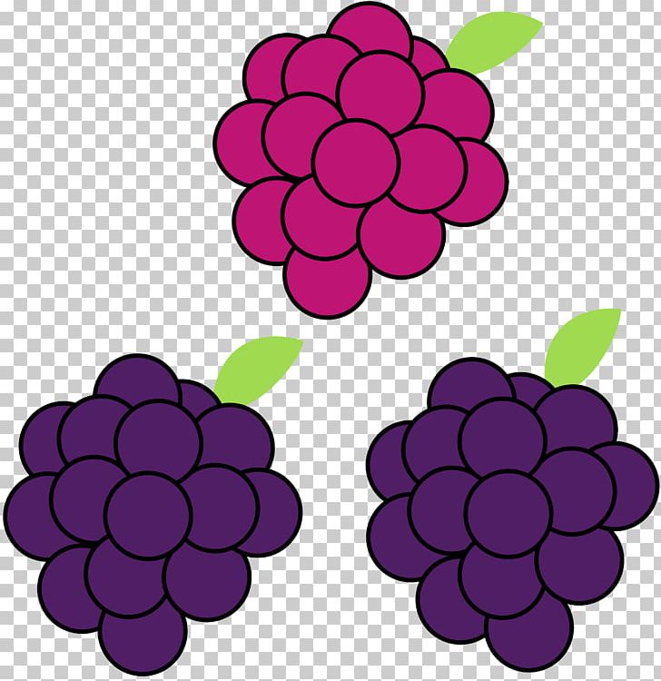 Grape Boysenberry PNG, Clipart, Art, Berry, Blackberry, Boysenberry, Cut Flowers Free PNG Download