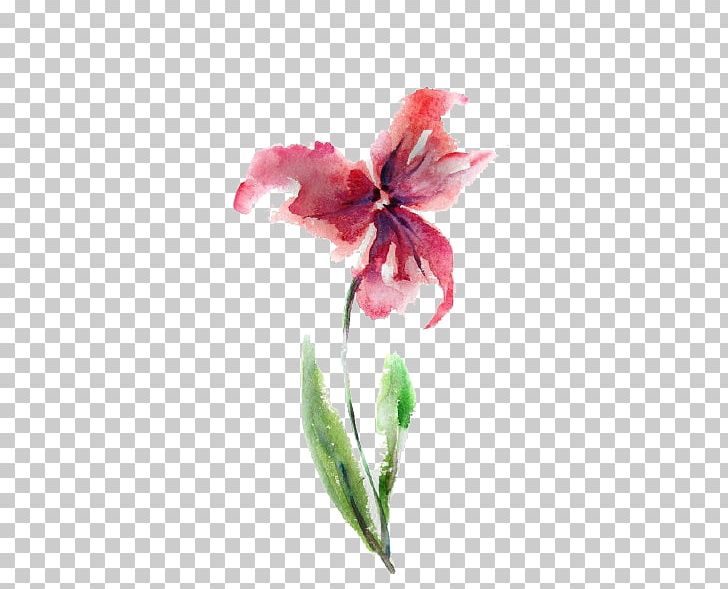 Watercolour Flowers Watercolor: Flowers Watercolor Painting Drawing PNG, Clipart, Abstract Art, Art, Bota, Flower, Herbaceous Plant Free PNG Download