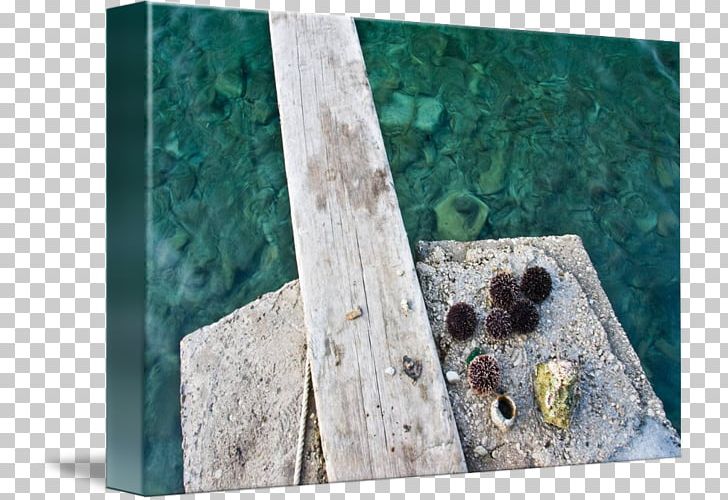 Wood /m/083vt PNG, Clipart, M083vt, Nature, Sea Urchin, Wood Free PNG Download