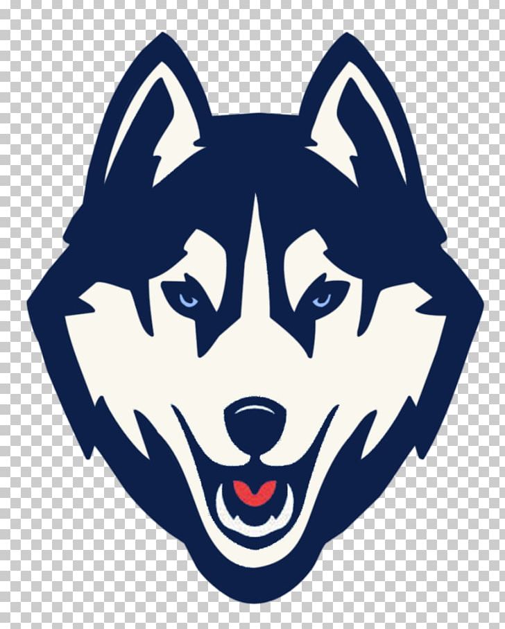 Connecticut Huskies Men's Basketball Connecticut Huskies Women's Basketball Connecticut Huskies Football University Of Connecticut NCAA Men's Division I Basketball Tournament PNG, Clipart, Animals, Basketball, Carnivoran, College Basketball, Connecticut Huskies Free PNG Download