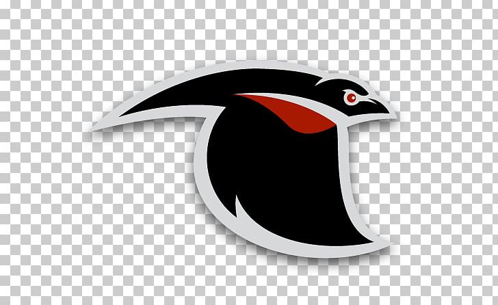 Logo Common Blackbird Fat Freddy's Drop Baltimore Blackbirds PNG, Clipart,  Free PNG Download