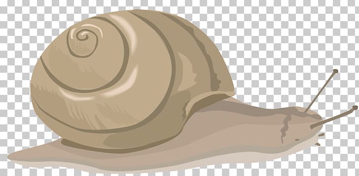 Snail PNG, Clipart, Animal, Animals, Burgundy Snail, Caracol, Cartoon Free PNG Download