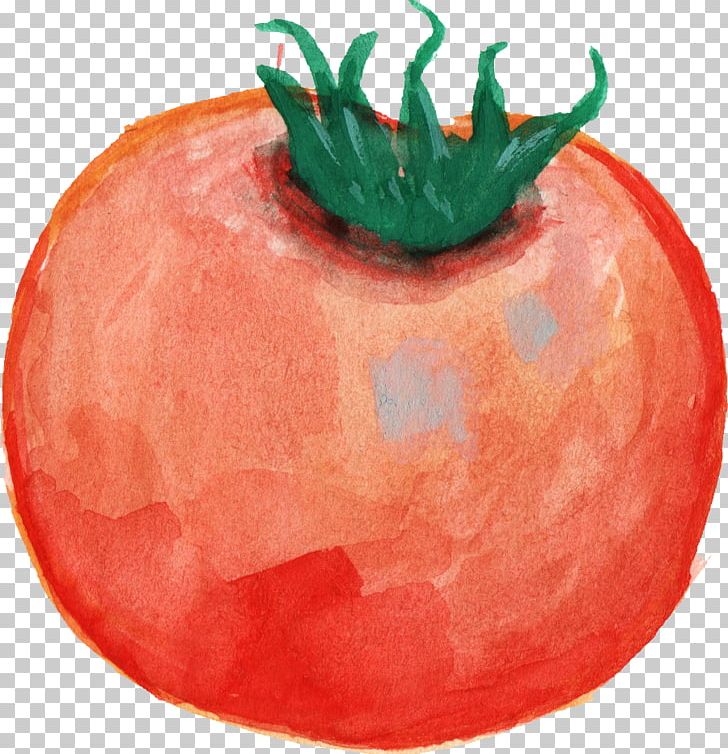 Tomato Vegetable Food Watercolor Painting PNG, Clipart, Apple, Food, Food Spoilage, Fruit, Ingredient Free PNG Download
