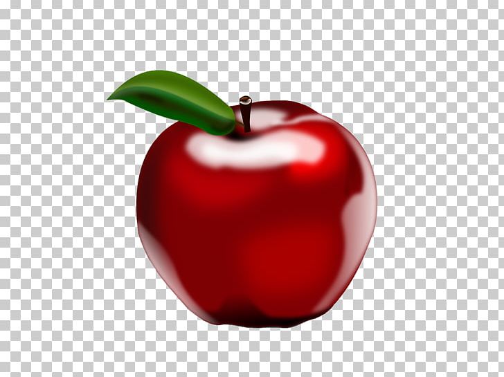 Apple Cider Vinegar Fruit Illustration PNG, Clipart, Accessory Fruit, Acerola, Acerola Family, Apple, Apple Fruit Free PNG Download