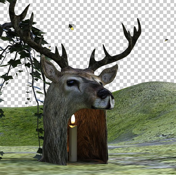 Elk Reindeer Game White-tailed Deer PNG, Clipart, 3d Arrows, 3d Background, 3d Computer Graphics, Animals, Antler Free PNG Download