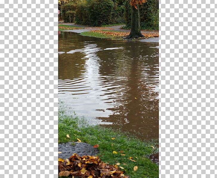 Knella Road Beeches Crescent Dunsley Place Wetland Knella Green PNG, Clipart, Bank, Bayou, Chelmsford, Creek, Flood Free PNG Download