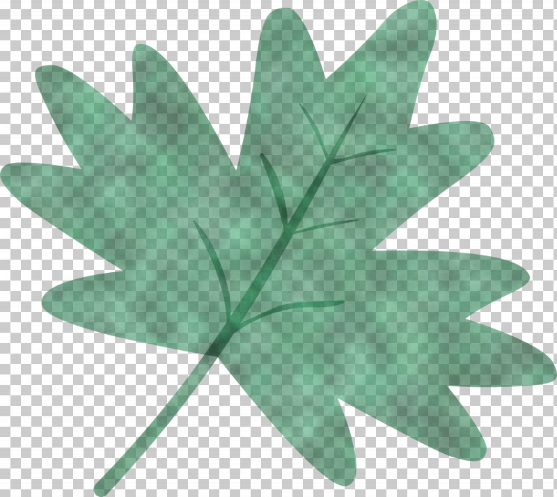 Maple Leaf PNG, Clipart, Green, Leaf, Maple Leaf, Plant, Tree Free PNG Download