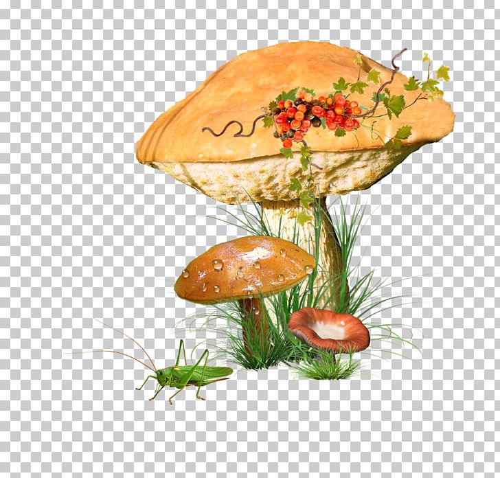 Edible Mushroom Fungus PNG, Clipart, Albom, Blog, Champignon Mushroom, Computer Animation, Edible Mushroom Free PNG Download